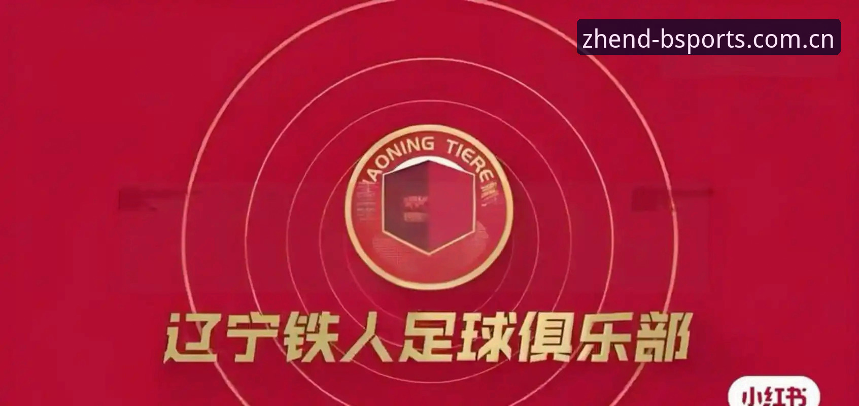 辽宁铁人休赛期重组最新动态：换掉瓦吉奇进入倒计时，谁将成为徐正源体系新拼图？